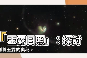 【玉露日照】「玉露日照」：探討原創養玉露的奧秘，曬太陽的驚人轉變！
