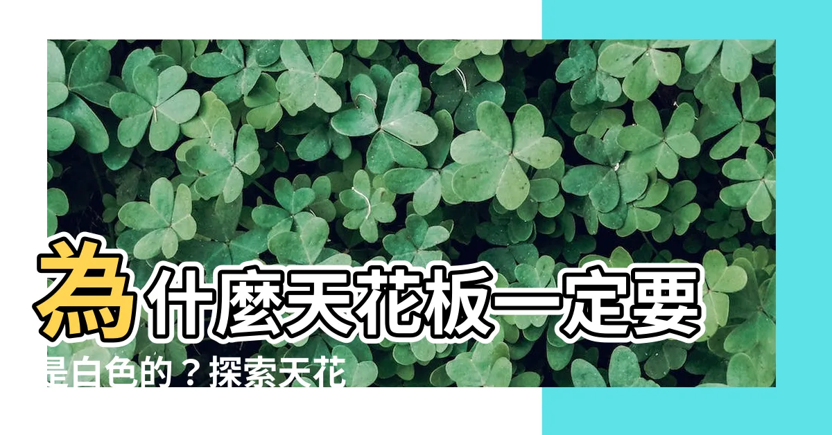 【天花板顏色】為什麼天花板一定要是白色的？探索天花板顏色的奇幻世界！