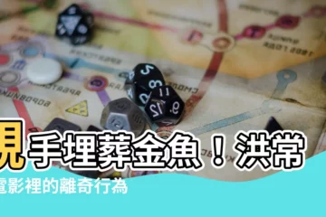 【金魚埋葬】親手埋葬金魚！洪常秀電影裡的離奇行為大揭密