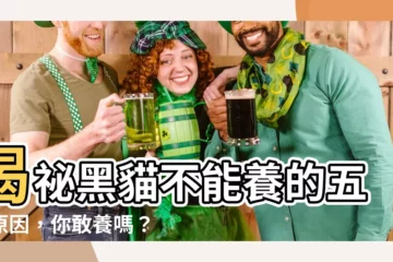 【黑貓為何不能養】揭秘黑貓不能養的五大原因，你敢養嗎？