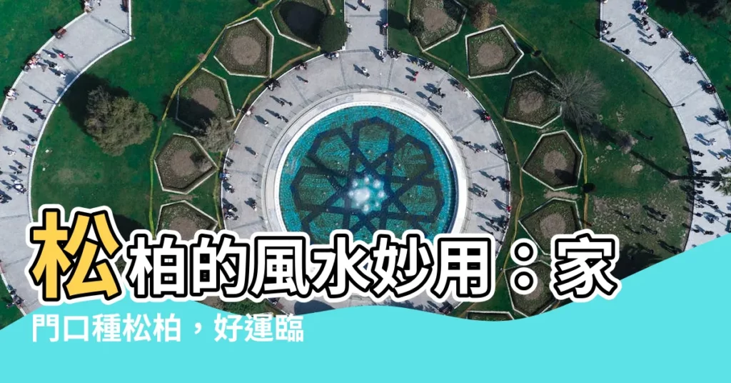 【松柏風水】松柏的風水妙用：家門口種松柏，好運臨門