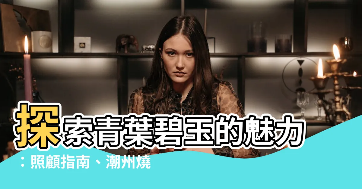 【青葉碧玉】探索青葉碧玉的魅力：照顧指南、潮州燒座枱、限定商品