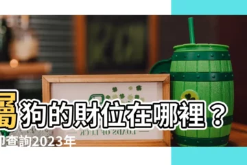 【屬狗的財位】屬狗的財位在哪裡？立即查詢2023年最佳財運方位！