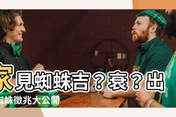 【出現蜘蛛】家見蜘蛛吉？衰？出現蜘蛛徵兆大公開