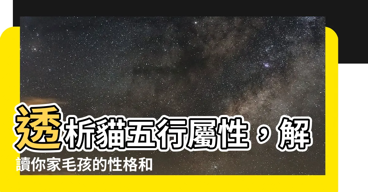 【貓五行屬性】透析貓五行屬性，解讀你家毛孩的性格和體質