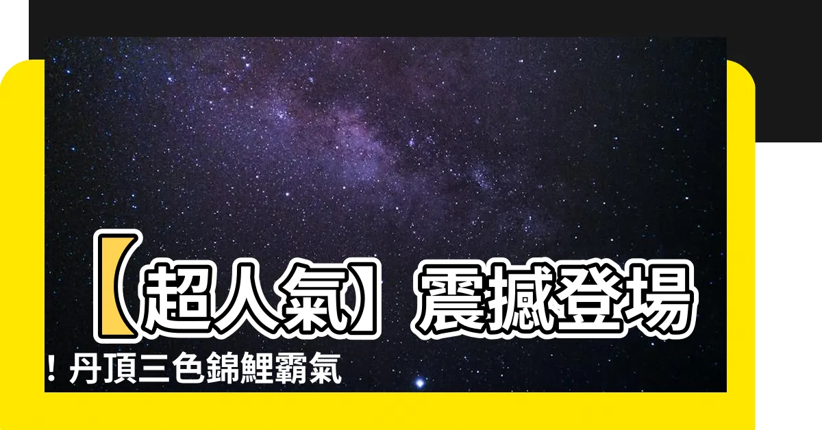 【錦鯉 丹頂三色】【超人氣】震撼登場！丹頂三色錦鯉霸氣絕倫！