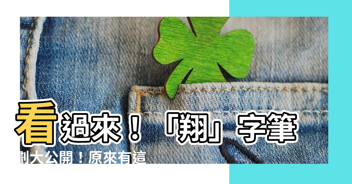 【翔幾劃】看過來！「翔」字筆劃大公開！原來有這麼多撇捺