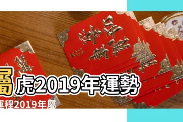 【2019屬2019屬虎人全年運勢如何】屬虎2019年運勢及運程2019年屬虎人的全年運勢 |屬虎2019年運勢及運程屬虎人2019年全年運勢 |2019年屬虎人全年運勢 |
