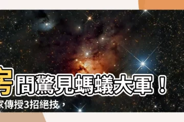【房間很多螞蟻】房間驚見螞蟻大軍！專家傳授3招絕技，輕鬆滅蟻保家園