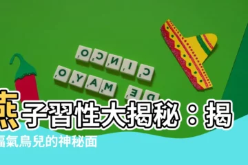 【燕子習性】燕子習性大揭秘：揭開福氣鳥兒的神秘面紗