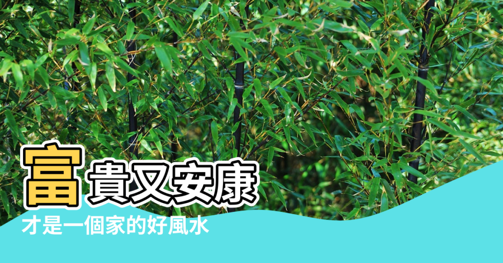 【母家風水】富貴又安康 |才是一個家的好風水 |養好這三處 |
