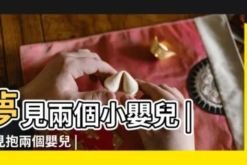 【夢見抱着兩個新生嬰兒】夢見兩個小嬰兒 |夢見抱兩個嬰兒 |夢見抱著嬰兒 |
