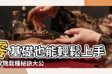 【玫瑰栽種】零基礎也能輕鬆上手！玫瑰栽種秘訣大公開