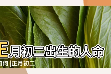 【女正月初二生日 不好】正月初二出生的人命運如何 |正月初二出生的人命運好不好 |女正月初二出生好不好大年初二出生的女生命運如何 |