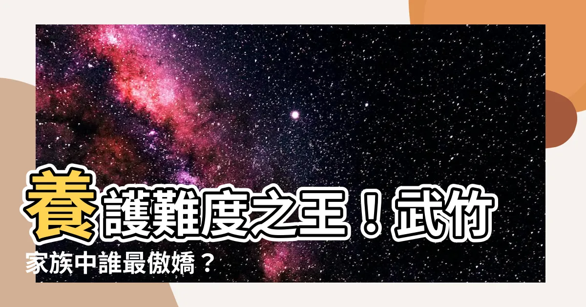 【武竹種類】養護難度之王！武竹家族中誰最傲嬌？