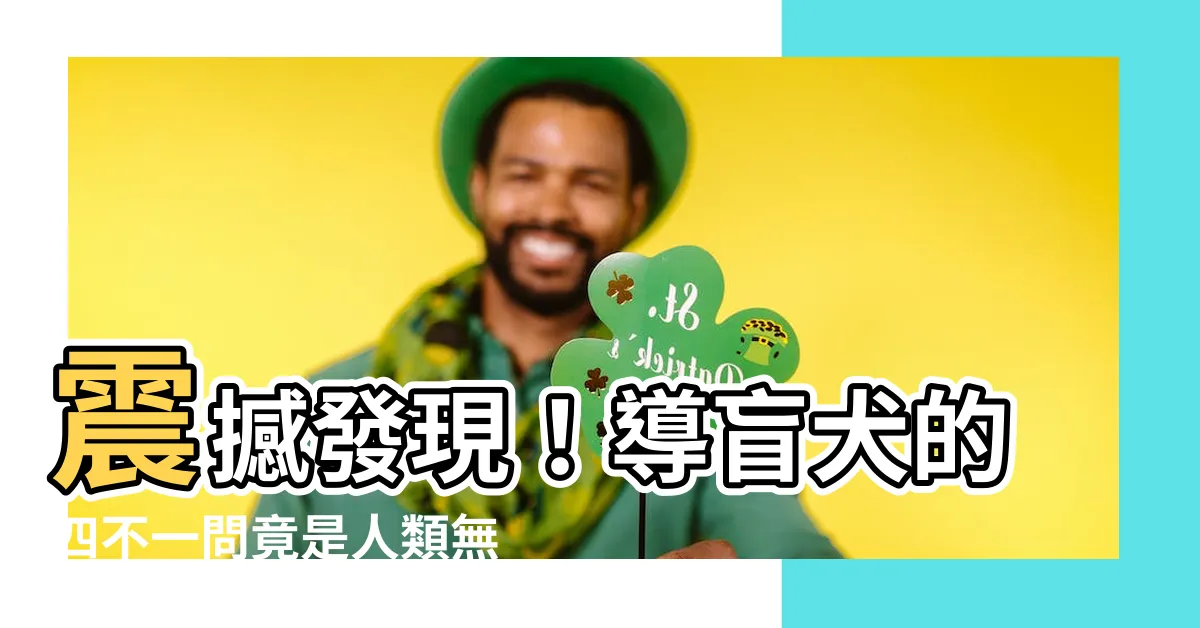 【四不一問】震撼發現！導盲犬的四不一問竟是人類無法理解的超越尺度？！