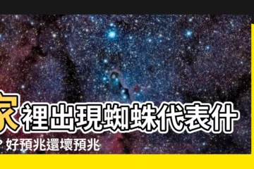 【家裡出現蜘蛛代表什麼】家裡出現蜘蛛代表什麼？好預兆還壞預兆？快看專家解謎