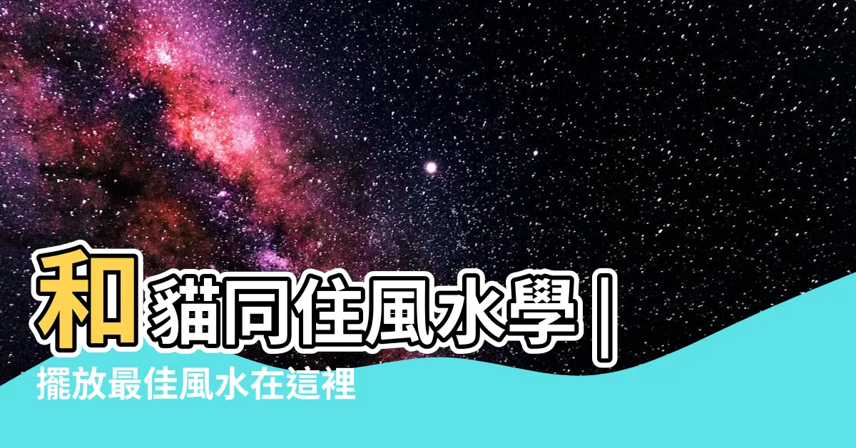 【貓來家裡生孩子 風水】和貓同住風水學 |擺放最佳風水在這裡 |風水學有 |