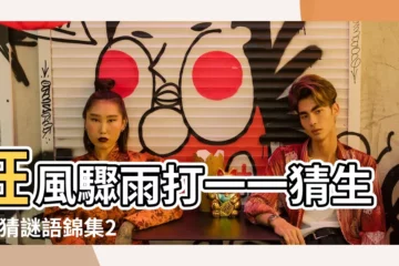 【溪畔桃花盡落紅猜一肖】狂風驟雨打一一猜生肖 |猜謎語錦集2049個 |溪畔桃花盡落紅猜一生肖 |