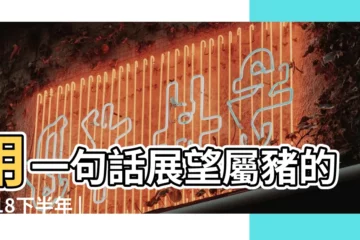 【95年屬豬男2018年下半年運氣】用一句話展望屬豬的2018下半年 |1995年屬豬人2022年運勢及運程 |屬豬的下半年愛情運勢 |
