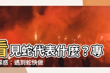 【看見蛇代表什麼】看見蛇代表什麼？專家解惑：遇到蛇快做兩件事