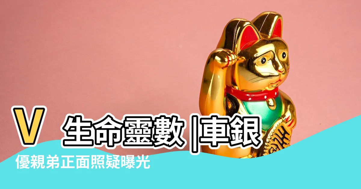 【人正面】V生命靈數 |車銀優親弟正面照疑曝光 |神級臉蛋 |