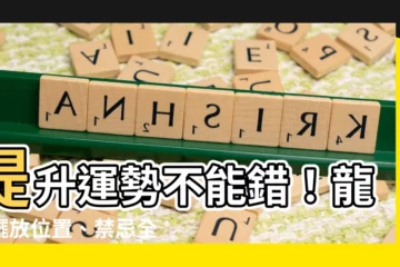 【龍龜擺放位置】提升運勢不能錯！龍龜擺放位置、禁忌全攻略