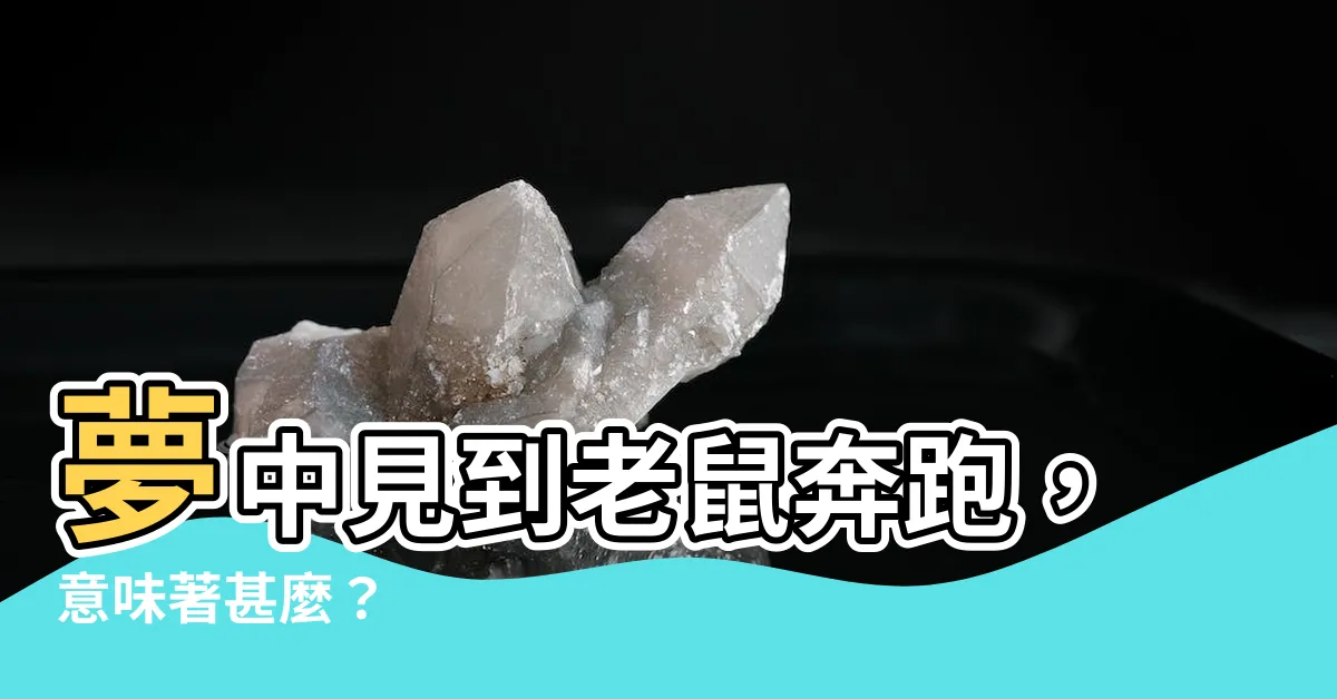 【夢到老鼠在跑】夢中見到老鼠奔跑，意味著甚麼？