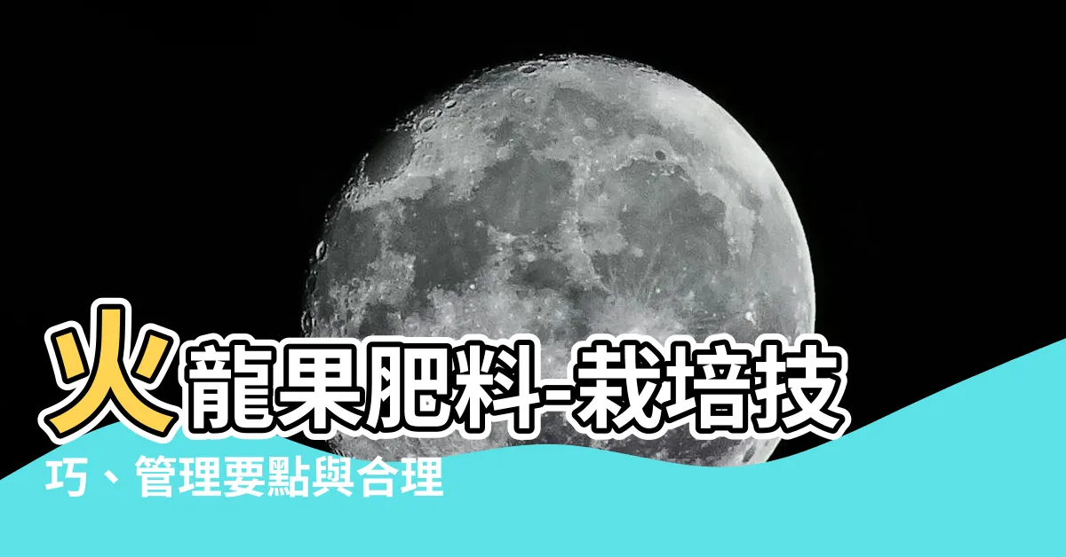 【火龍果肥料】火龍果肥料-栽培技巧、管理要點與合理施肥法