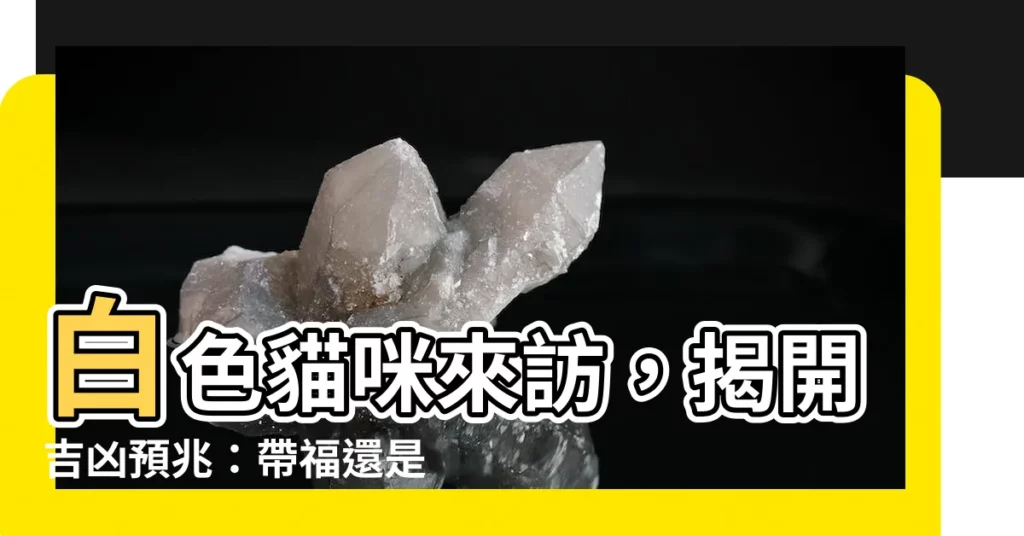 【白貓來家裏代表什麼】白色貓咪來訪，揭開吉凶預兆：帶福還是招厄？