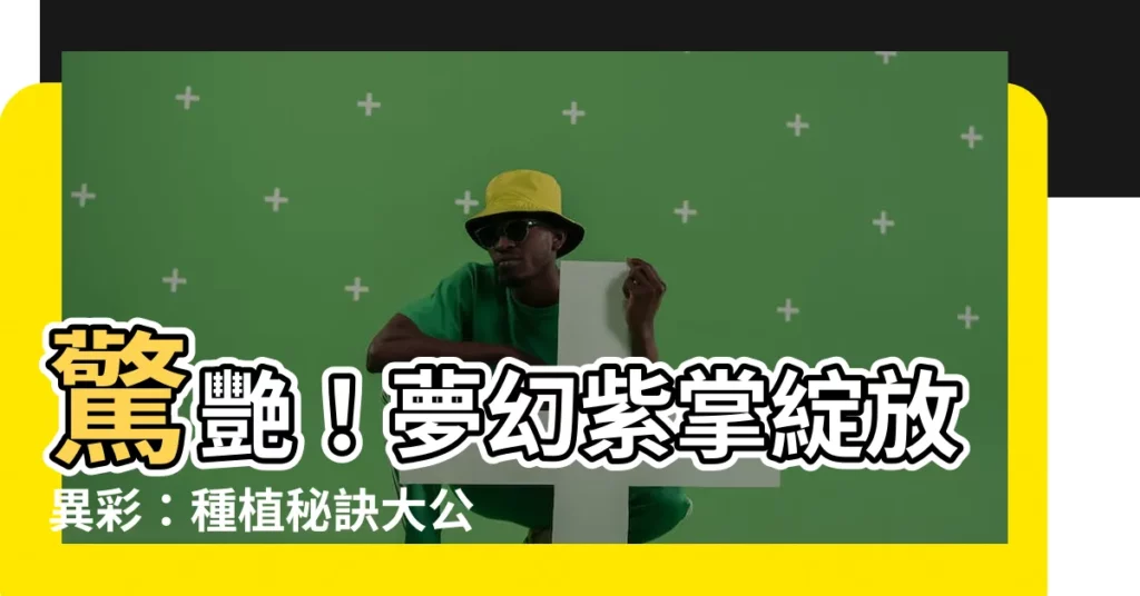 【紫掌種植】驚艷！夢幻紫掌綻放異彩：種植秘訣大公開