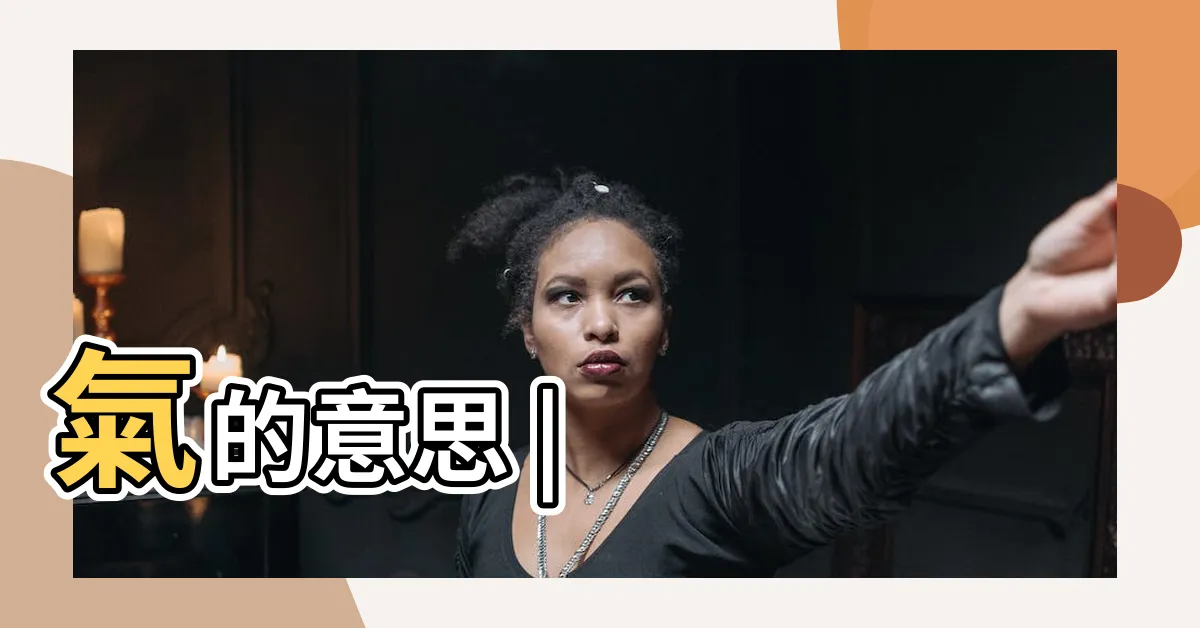 【氣 意思】氣的意思 |