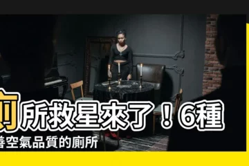 【廁所放的植物】廁所救星來了！6種改善空氣品質的廁所用植物