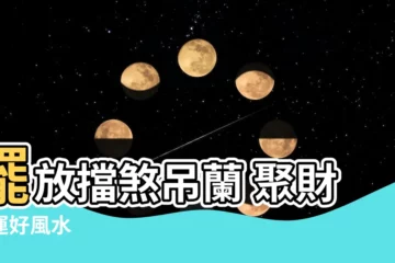 【擋煞吊蘭風水】擺放擋煞吊蘭 聚財添運好風水
