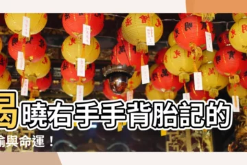 【右手手背 胎記】揭曉右手手背胎記的隱喻與命運！