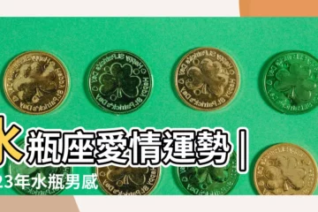 【水瓶男生愛情運勢】水瓶座愛情運勢 |2023年水瓶男感情運 |2023年水瓶男感情運指數高嗎最新詳解 |