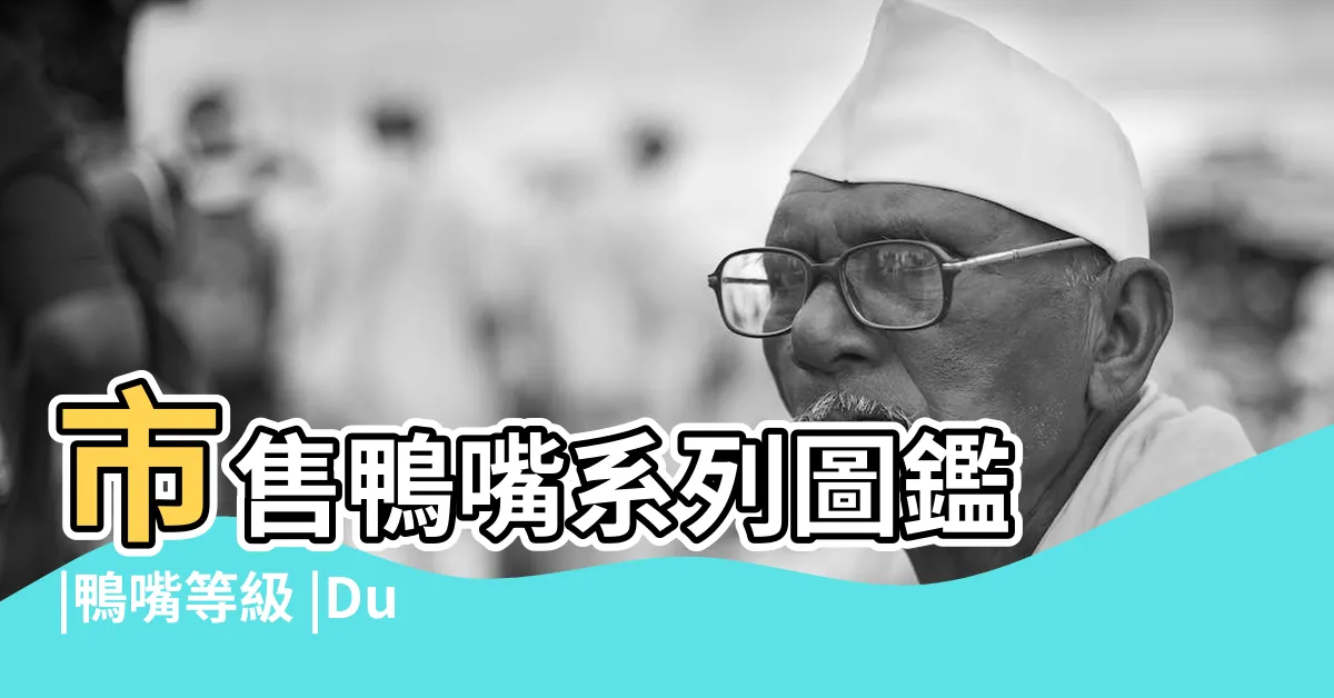 【鴨嘴魚種類】市售鴨嘴系列圖鑑 |鴨嘴等級 |Duck |