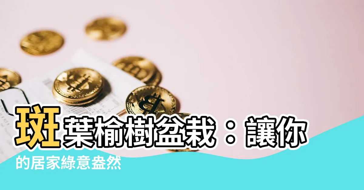 【斑葉榆樹盆栽】斑葉榆樹盆栽：讓你的居家綠意盎然