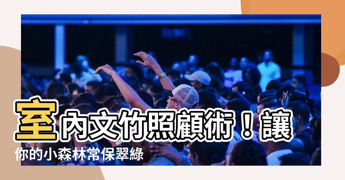 【文竹照顧】室內文竹照顧術！讓你的小森林常保翠綠！