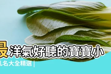 【簡單的寶寶的小名】最洋氣好聽的寶寶小名乳名大全精選 |女孩的小名萌一點的給女寶寶起小名參考 |100個寶寶小名大全 |