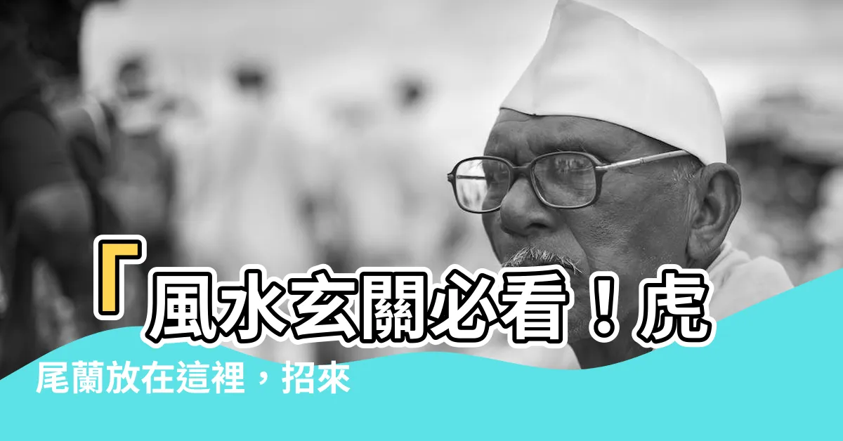 【虎尾蘭風水玄關】「風水玄關必看！虎尾蘭放在這裡，招來好運無限！」