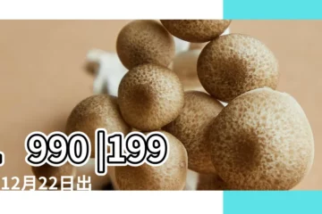 【農曆90年12月22】1990 |1990年12月22日出生時間看命運 |屬什麼生肖 |