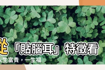 【貼腦耳】從「貼腦耳」特徵看出人生富貴，一生福澤深厚！