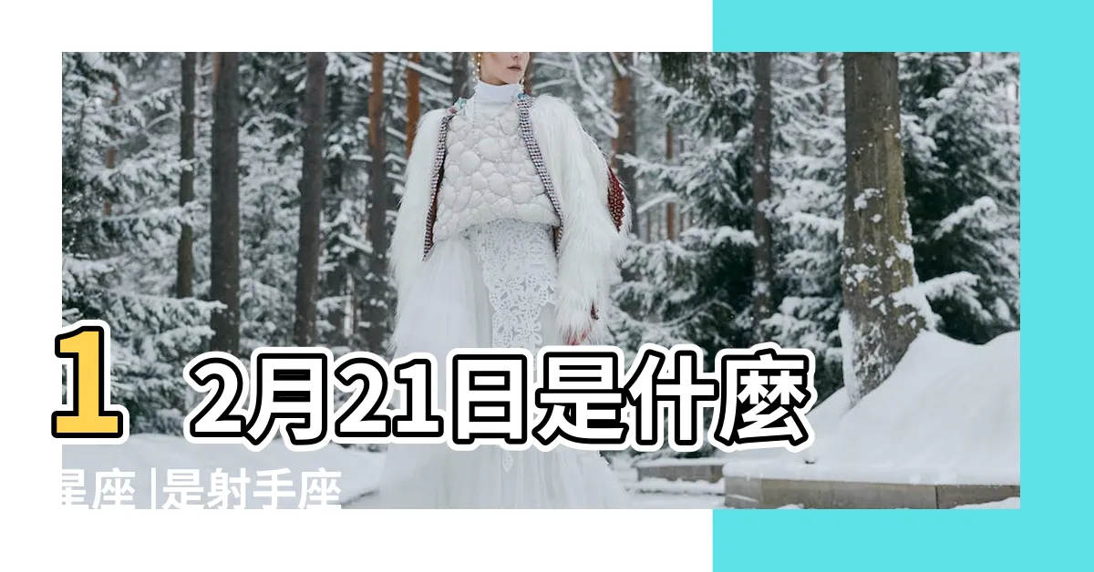 【12月21什麼星座】12月21日是什麼星座 |是射手座 |
