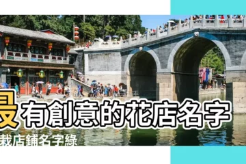 【盆栽店店鋪名字大全集】最有創意的花店名字 |盆栽店鋪名字綠植盆栽店名大全 |好聽好記的盆栽店名字大全 |