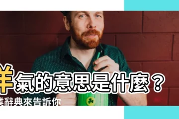 【洋氣 意思】洋氣的意思是什麼？專業辭典來告訴你