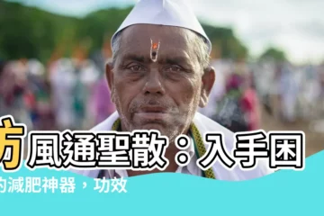 【防風通聖散 入手困難】防風通聖散：入手困難的減肥神器，功效與副作用必看