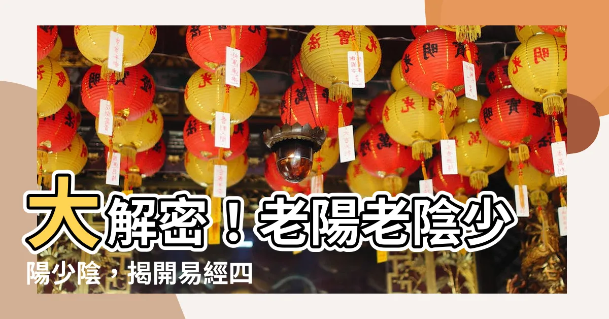 【老陽老陰少陽少陰】大解密！老陽老陰少陽少陰，揭開易經四象的神秘面紗！