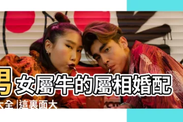【六月牛和十月牛婚配】男女屬牛的屬相婚配表大全 |這裏面大有講究 |命中註定 |