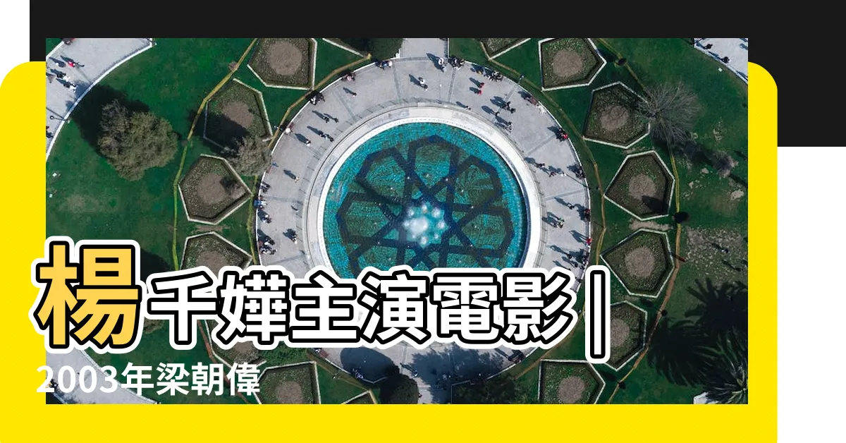 【楊千嬅 梁朝偉】楊千嬅主演電影 |2003年梁朝偉 |梁朝偉合體 |